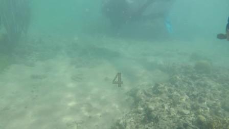 杨岐山景区积极应对大雪天气 全力保障游客安全